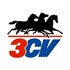 3CV